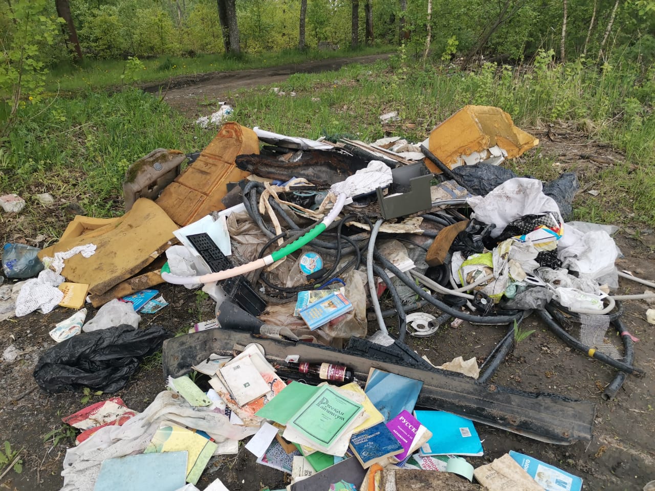 Девять мусорных свалок ликвидируют рядом с озером у микрорайона Бурнаковский - фото 1