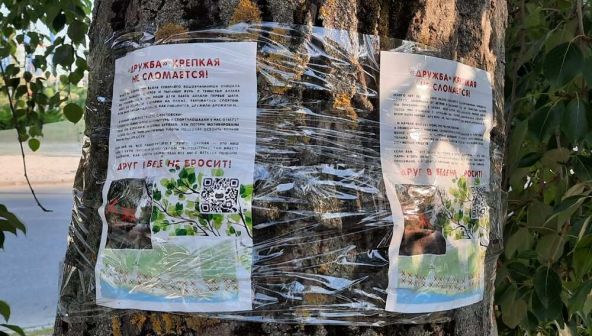 Ростовчане просят Слюсаря не допустить вырубки деревьев в парке«Дружба» 