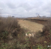 Ход строительства дома 1, 3 этап в ЖК Новин в Нижнем Ломове -