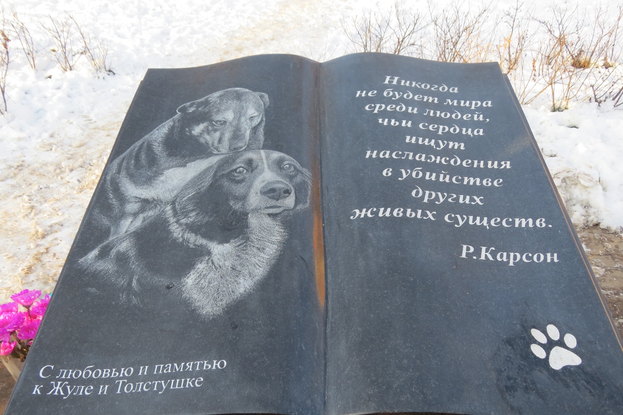 Памятник погибшим бездомным животным открыли в Нижнем Новгороде - фото 1