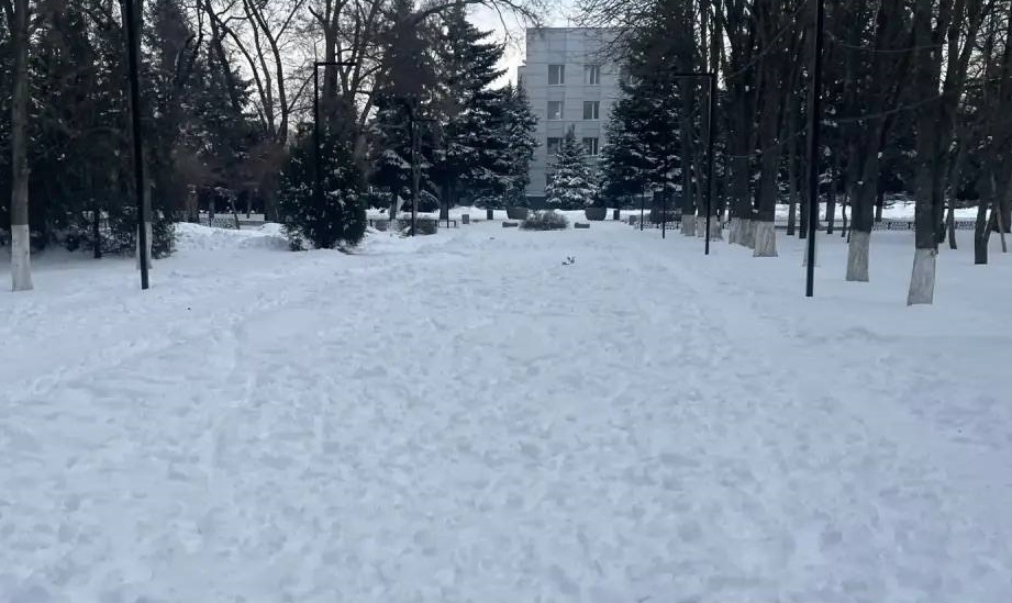 Запустившим парки Батайска подрядчикам грозят штрафы - фото 1