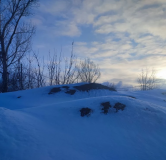 Ход строительства дома 14, секция 5 в ЖК Квартал на Игарской -