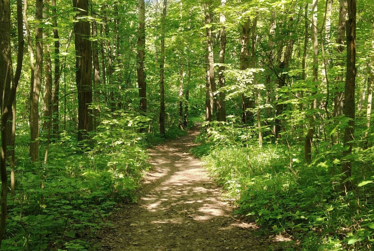 Скверы восстановят в Нижнем Новгороде после строительства двух станций метро - фото 1