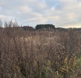 Ход строительства дома 6.1 в ЖК Форест -