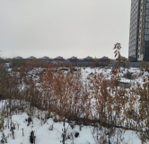 Ход строительства дома 4 в ЖК Расцветай на Зорге -