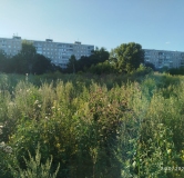 Ход строительства дома 10 в ЖК Расцветай на Зорге -