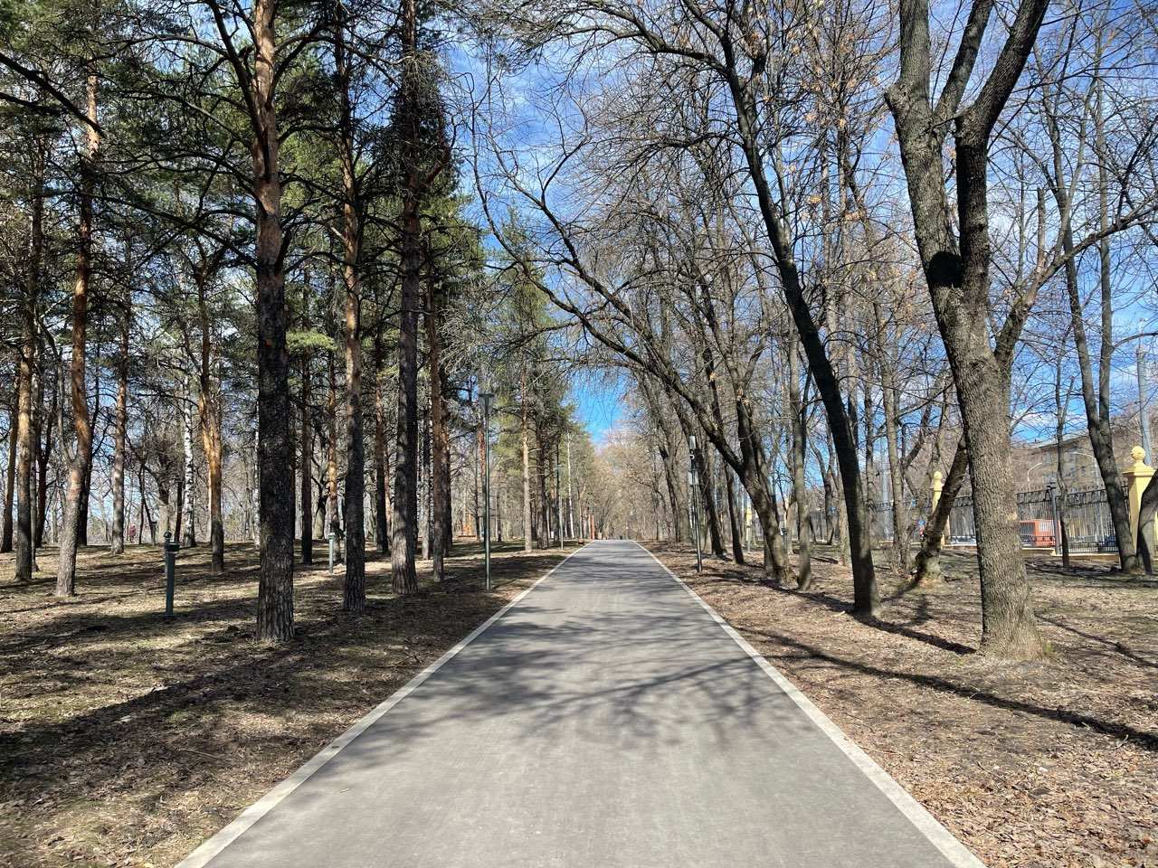 Спортплощадки открылись в нижегородском парке «Швейцария» после зимы - фото 1