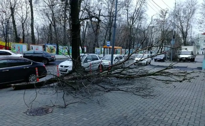 В Ростове 13 и 14 мая ожидается усиление ветра до 22 метров в секунду - фото 1